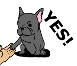 I am frenchbulldog!! sticker #7960585