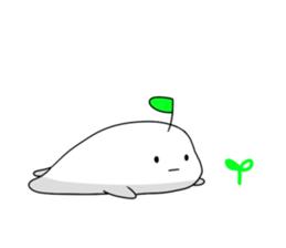 AMENISAKU
