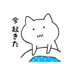 Daru cat sticker #7965564