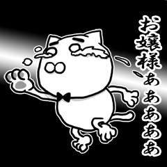 The cat Kai princess