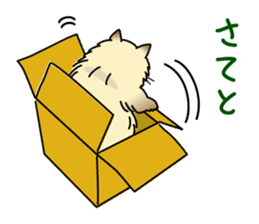 Cheeky Persian Cat Vol.2 sticker #7967091