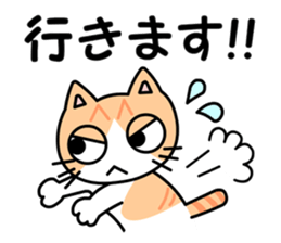 Danny Cat Sticker sticker #7967963