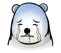 Cutest bear's Arctic sticker #7968671
