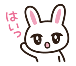 Recommended rabbit sticker #7969548