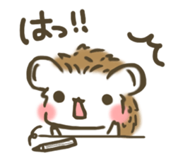 hedgehog 'Hari-san' sticker #7970350
