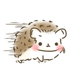 hedgehog 'Hari-san' sticker #7970358
