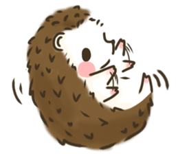 hedgehog 'Hari-san' sticker #7970361
