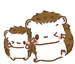 hedgehog 'Hari-san' sticker #7970363
