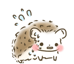 hedgehog 'Hari-san' sticker #7970364