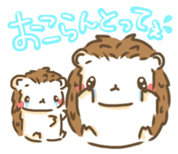 hedgehog 'Hari-san' sticker #7970365