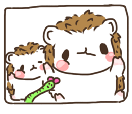 hedgehog 'Hari-san' sticker #7970375