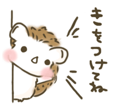 hedgehog 'Hari-san' sticker #7970381
