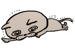 Nekomaru and (loosen) sticker #7970562