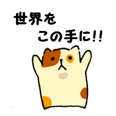 Fool of the color of a tortoise shell