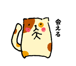 Fool of the color of a tortoise shell sticker #7975989