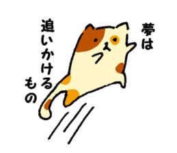 Fool of the color of a tortoise shell sticker #7975994