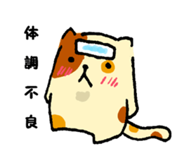 Fool of the color of a tortoise shell sticker #7976001