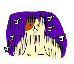 Fool of the color of a tortoise shell sticker #7976003