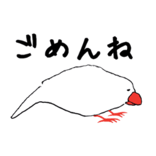 kafu the javasparrow sticker #7978731