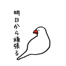 kafu the javasparrow sticker #7978738