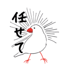 kafu the javasparrow sticker #7978753