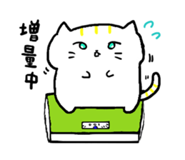 catandchick sticker #7981482
