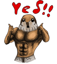 Muscles sparrow 2 sticker #7982764