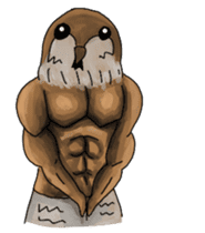 Muscles sparrow 2 sticker #7982766