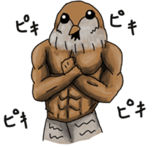 Muscles sparrow 2 sticker #7982767