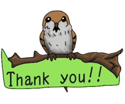 Muscles sparrow 2 sticker #7982783