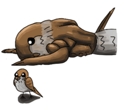 Muscles sparrow 2 sticker #7982796