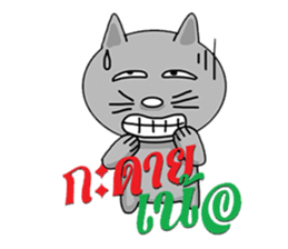 Korat cat 4 sticker #7985774