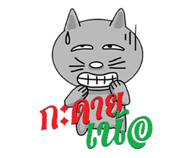 Korat cat 4 sticker #7985774