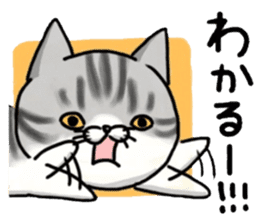 I'm Japanese cat.2nd sticker #7986182