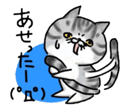 I'm Japanese cat.2nd sticker #7986187