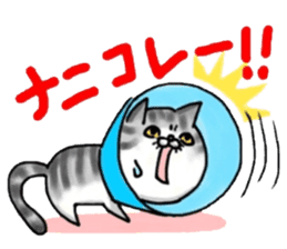 I'm Japanese cat.2nd sticker #7986195
