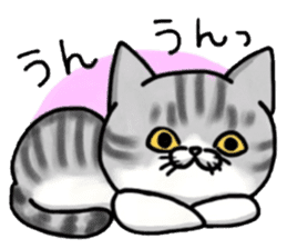 I'm Japanese cat.2nd sticker #7986201