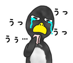 annoying cute PENGUIN sticker #7986632