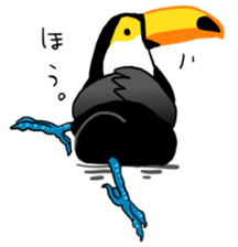 Happy Toco Toucan sticker #7986743
