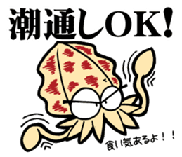 oval squid (aori ika) sticker no.2 sticker #7988141