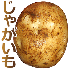 สติ๊กเกอร์ไลน์ This is Potato 2