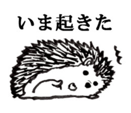 hude hedgehog sticker #7988875