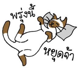 Cats Seller Wichian Mat sticker #7989532