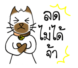 Cats Seller Wichian Mat sticker #7989561