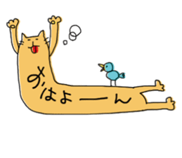 Kune kune cat sticker #7989605