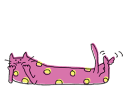 Kune kune cat sticker #7989609