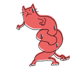 Kune kune cat sticker #7989620