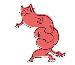 Kune kune cat sticker #7989620