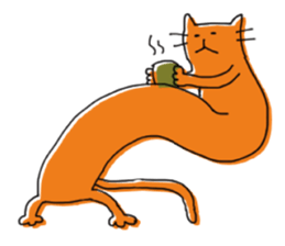 Kune kune cat sticker #7989623