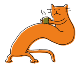 Kune kune cat sticker #7989623